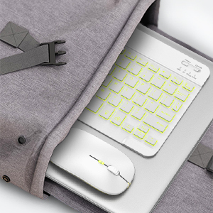 Portable keyboard and mouse for iPad