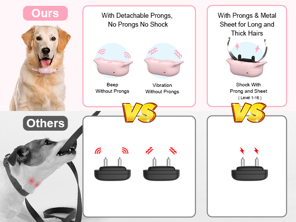 dog training collar