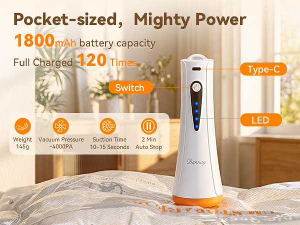 rechargeable vacuum pump