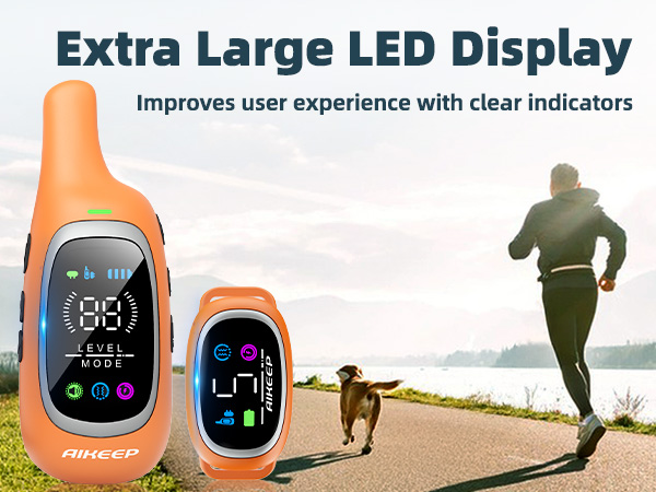 Extra Large LED Screen
