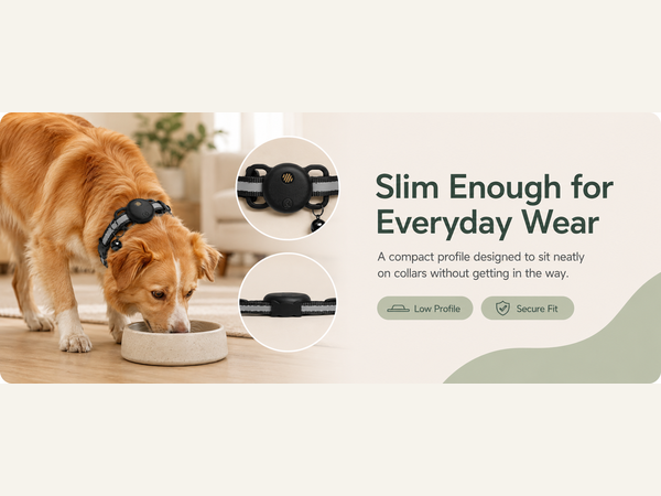 pet tracker for cats