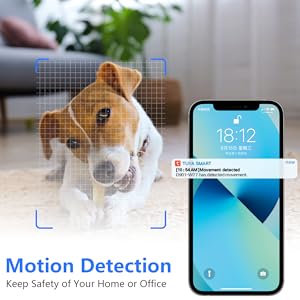 motion detection