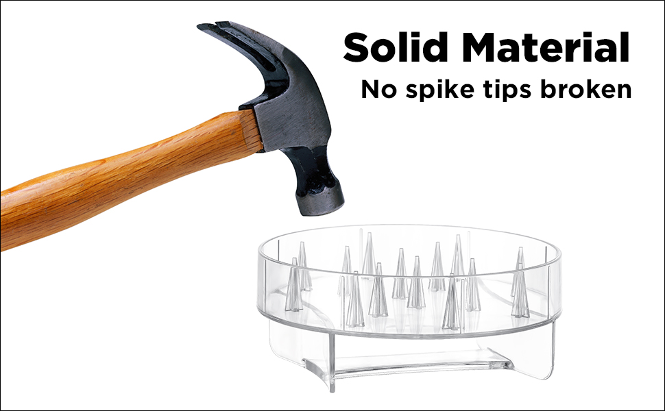 Puppy and Kitten Meal Prep