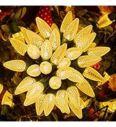 Brightown C9 Christmas String Lights, Commercia Led Outdoor Christmas Lights with 100 Strawberry ...