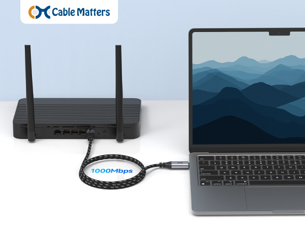 Braided USB C to Gigabit Ethernet Cable