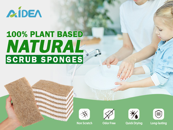 Extra Large Natural Sponge