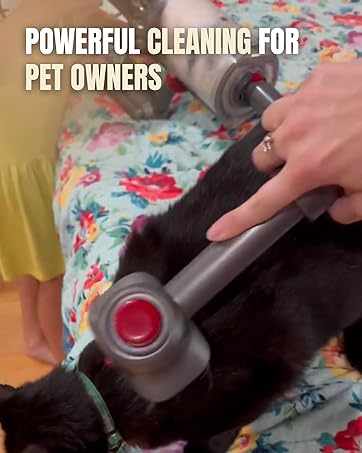 Powerful Cleaning for Pet Owners