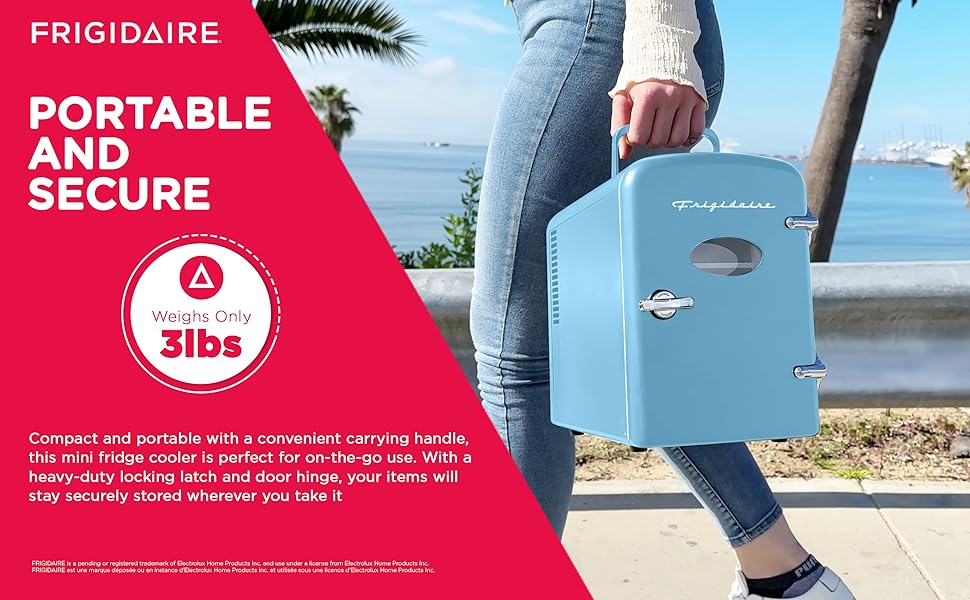 mini fridge cooler