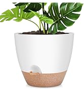 YNNICO 12 Inch Large Self Watering Plant Pot Set, Flower Pots with Multi-Mesh Drainage Holes and ...