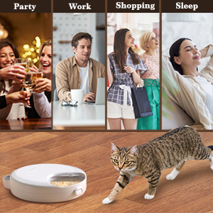 automatic cat feeder for wet food