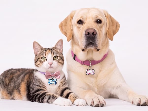 Dog ID Tag