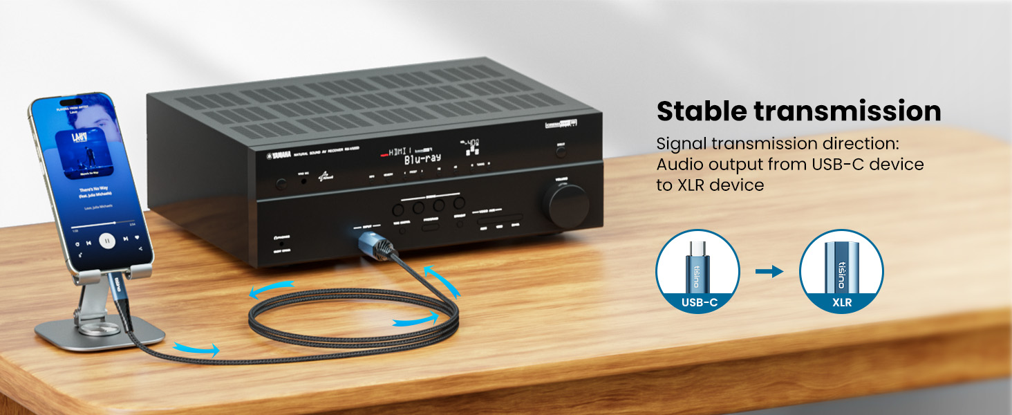 USB C to XLR Male