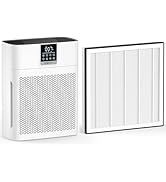 DBFIT AP2410 Air Purifier + 1-Pack Genuine Replacement Filter Combo– HEPA &amp; Activated Carbon, Lar...