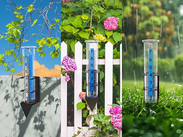 Rain Gauge