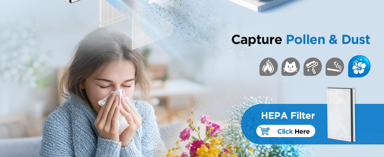 air purifiers for home