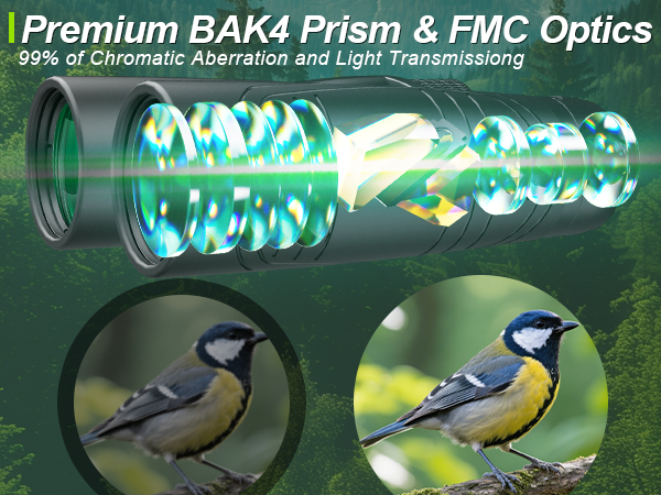 bird watching binoculars