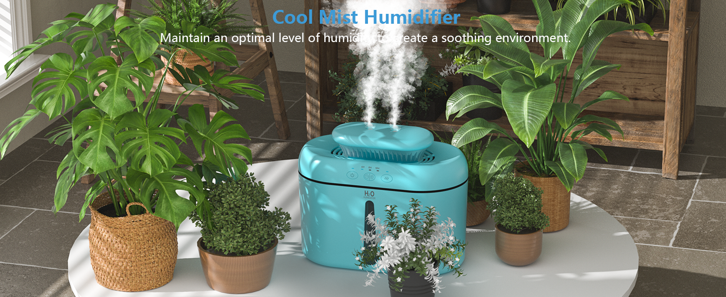 Humidifier for Plants
