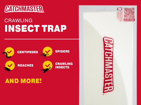 baited glue trap mouse crawling insect trap