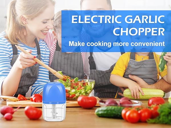 mini food processor