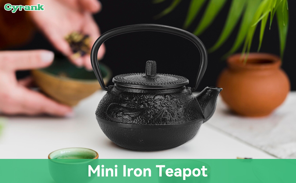 Teapot With Infuser Tea Pots For Loose Tea Tea Kettle With Infuser Cast Iron Teapot