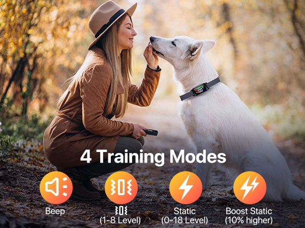 shock collar for medium dogs
