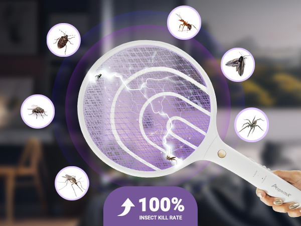 fly swatter