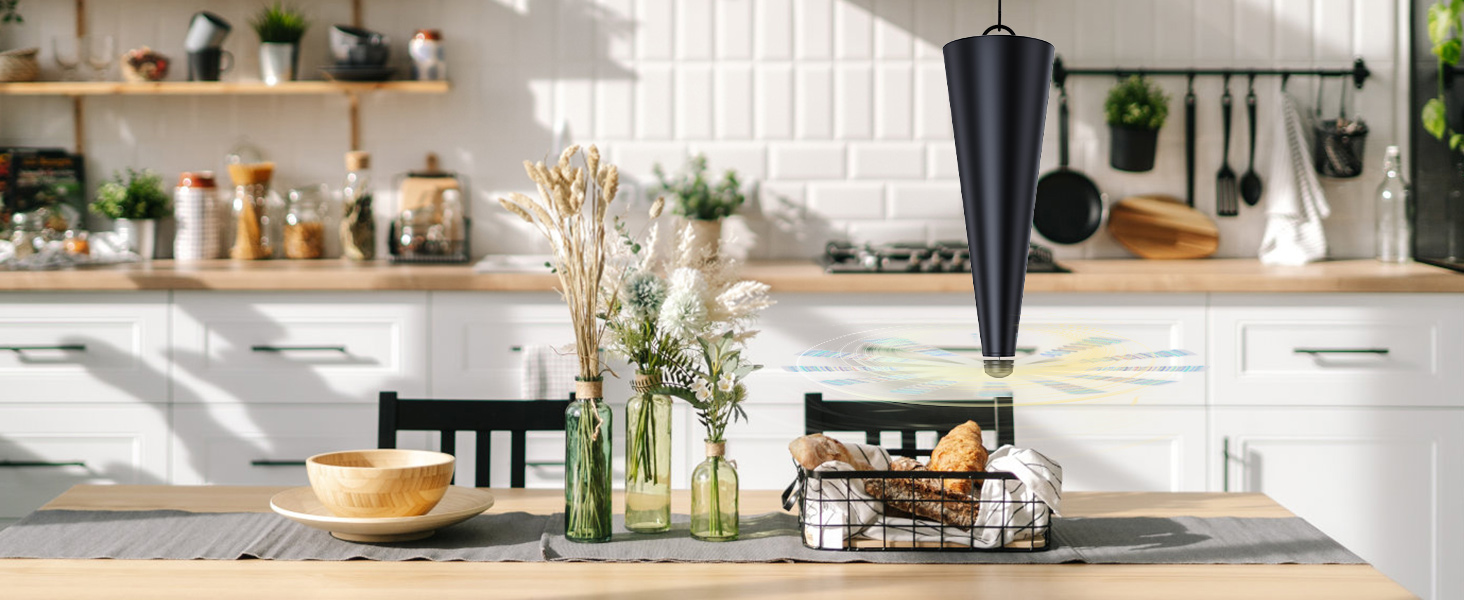 fly repellent fans