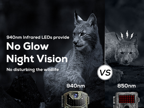 Hunting Camera with No Glow Night Vision