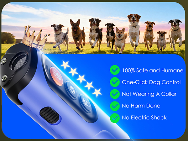 dog barking deterrent devices