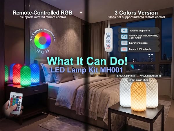 LED Lamp Kit MH001
