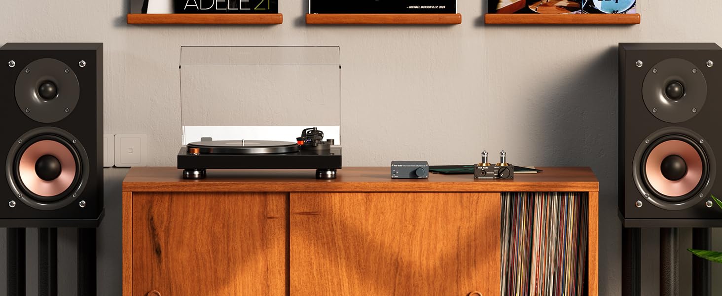 Fosi Audio V1.0G 2 Channel Class D Mini Stereo Amplifier