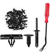 GOOACC 60Pcs Blind Rivet Fender Flare Rocker Moulding Clip Bumper Shield Retainer Clip Assortment...