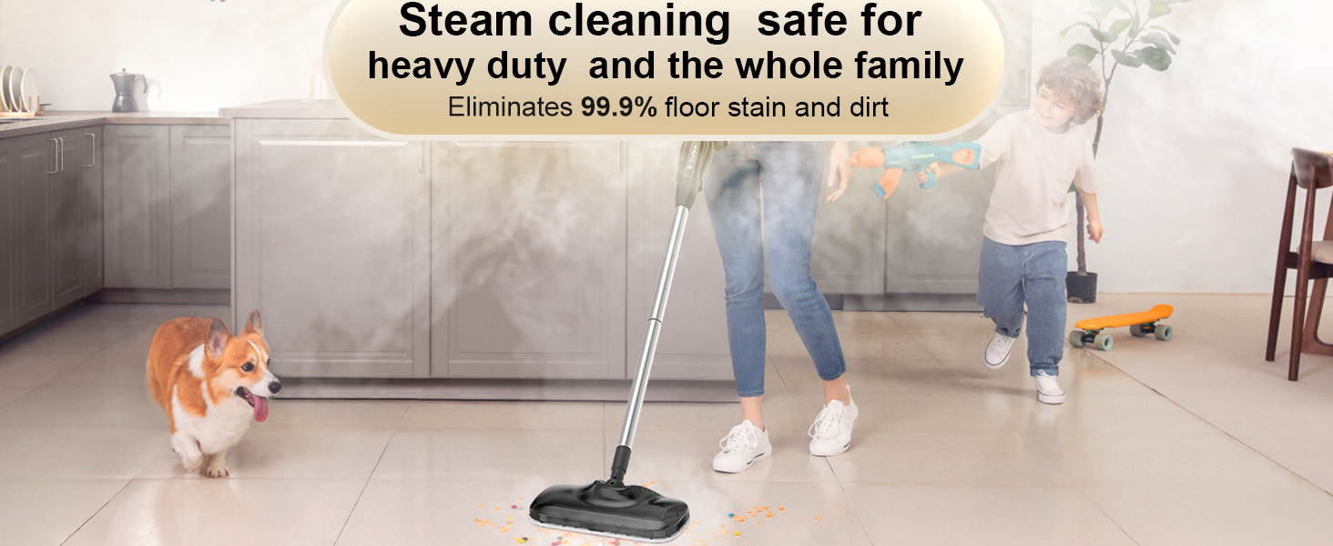 steam mop