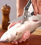 Great All Purpose Shears