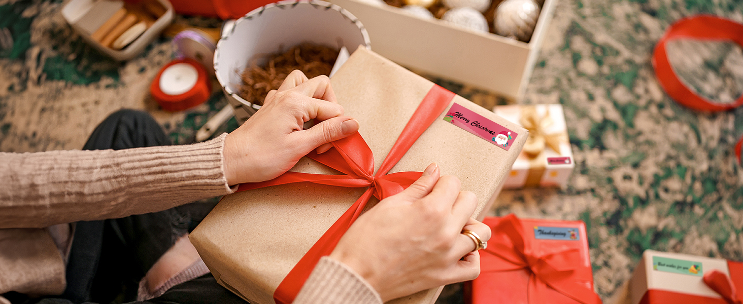 NIIMBOT D110 Label Maker for gift