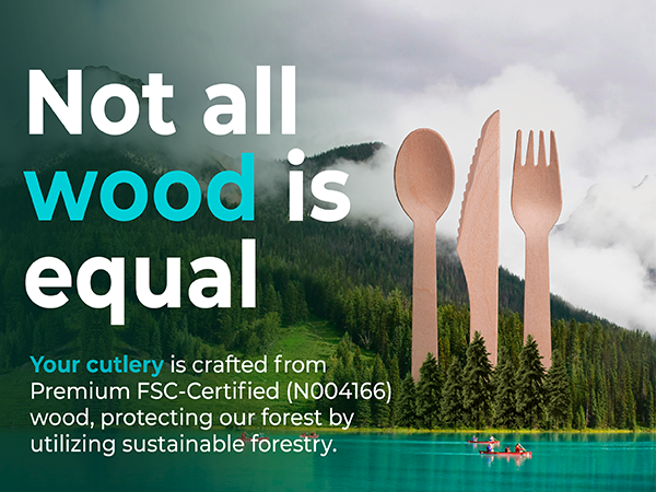 disposable utensil Plastic Silverware Disposable Cutlery disposable silverware Plastic Cutlery