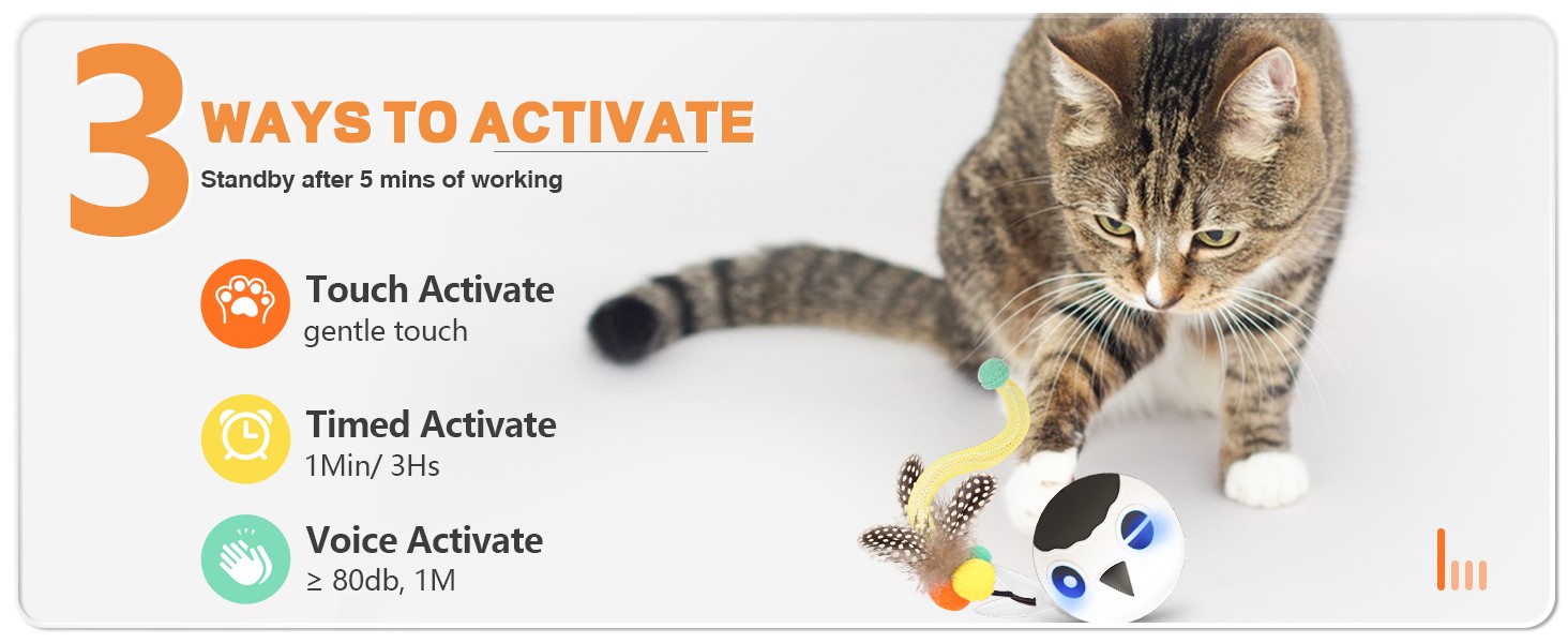 cat toy