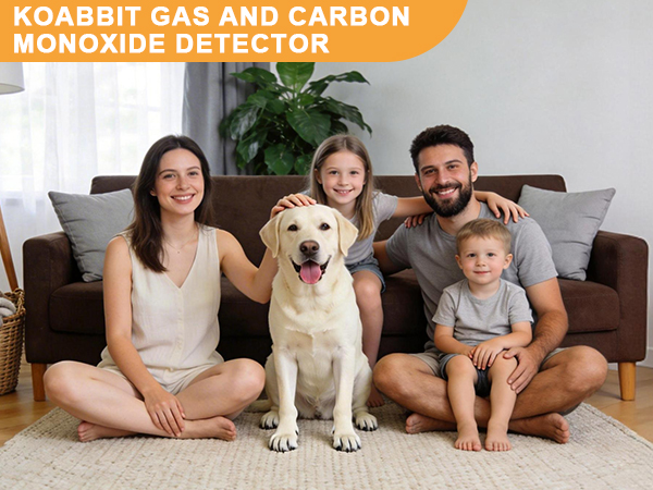 natural gas and carbon monoxide detector
