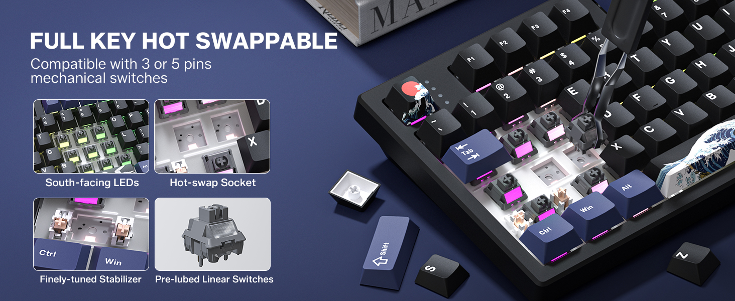 HOT SWAPPABLE