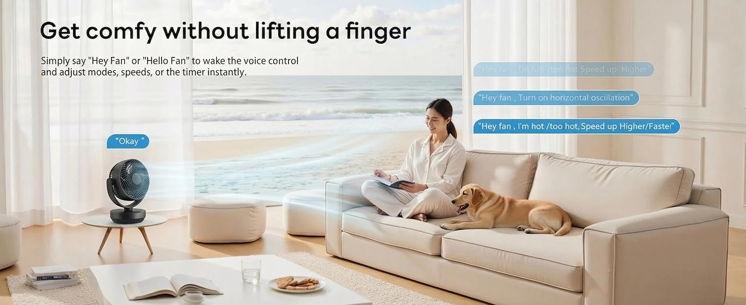 Voice Control