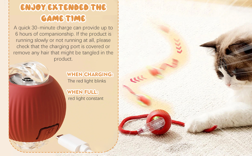 cat toys interactive