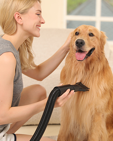 Woman using a handheld grooming tool on a golden retriever. The dog appears relaxed and is smiling at the camera.