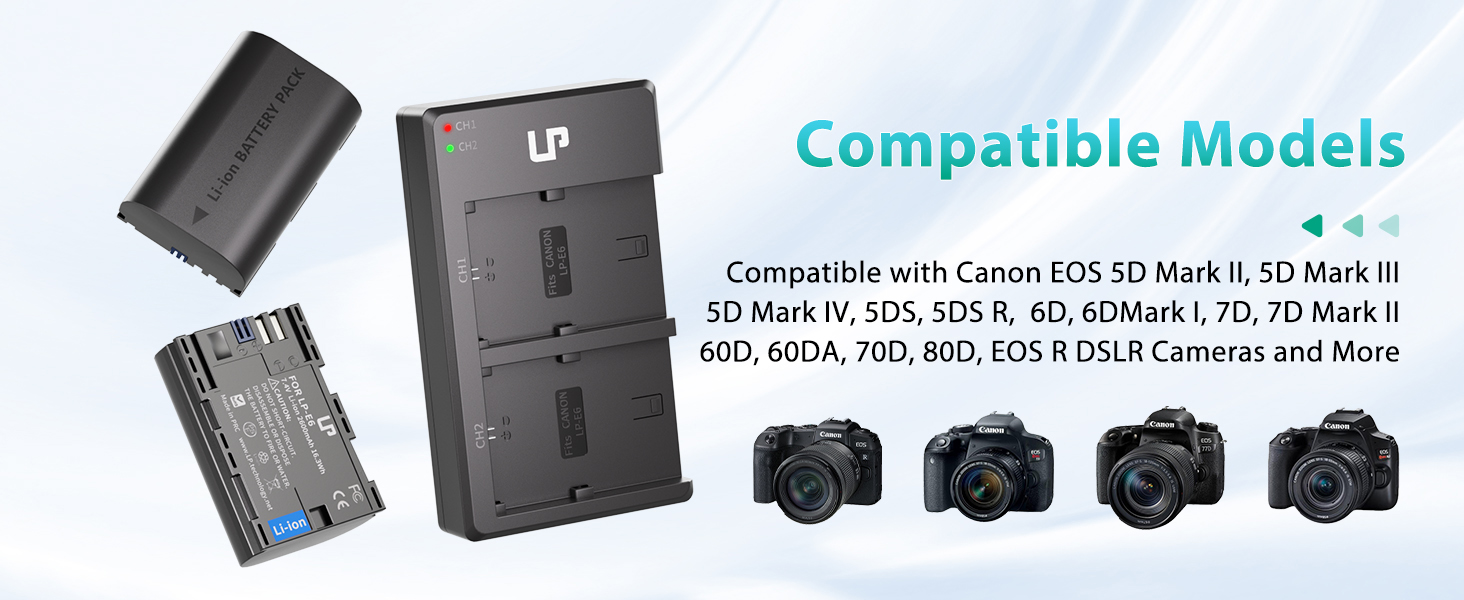 canon r6 battery charger