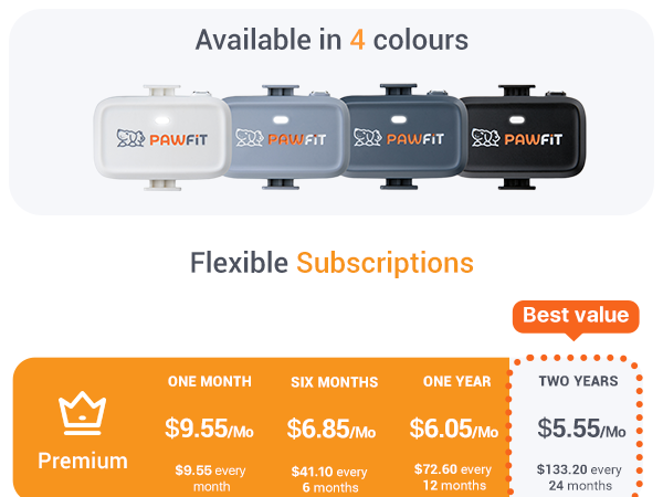pawfit