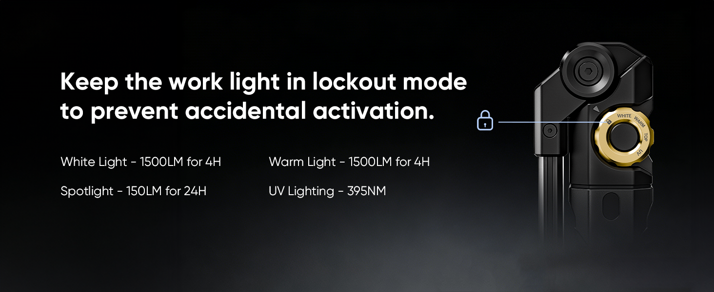 magnetic light