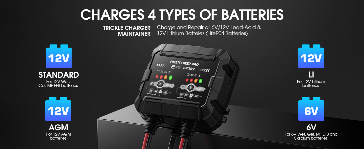 4A (2A/Bank) Car Battery Charger