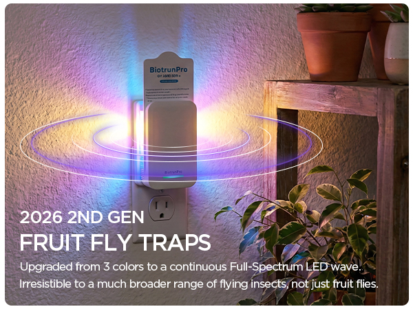 fly killer gnat killer plug in best safe electric flying insect trap fruit fly bug blue UV light