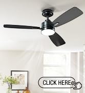 ceiling fan