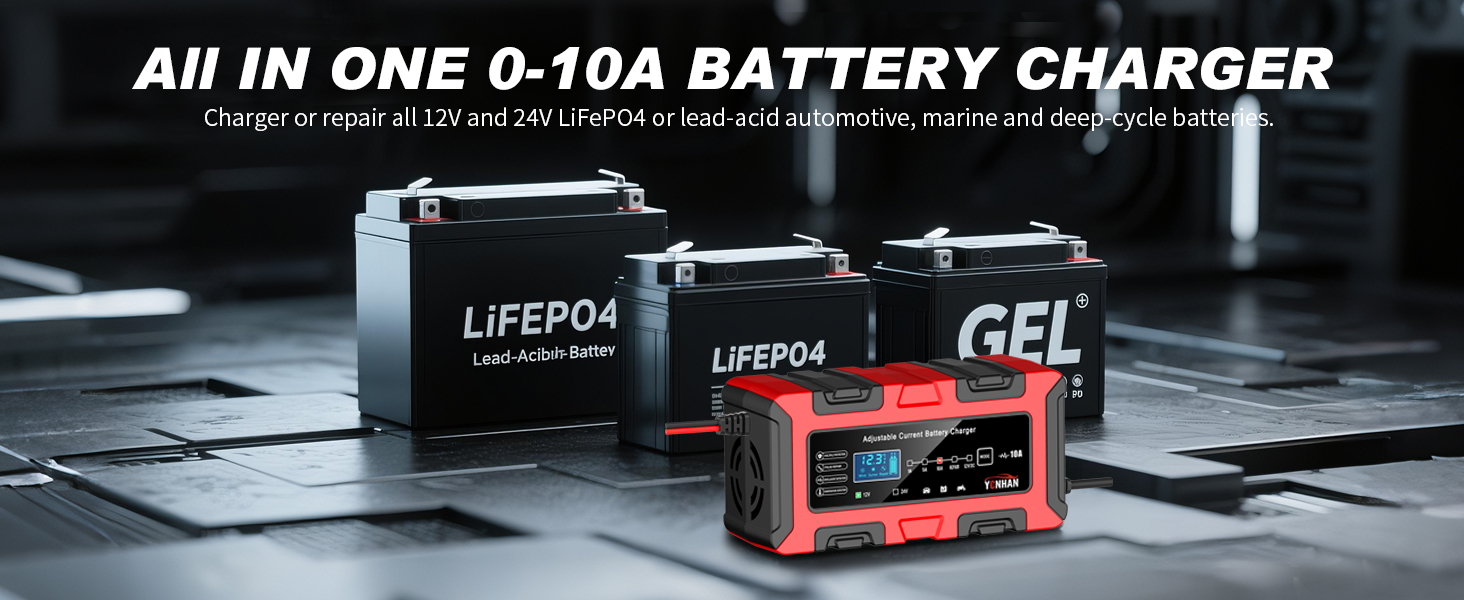 LiFePO4 Trickle Car Battery Charger