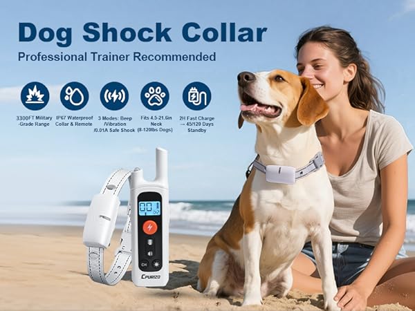 shock collar for dog